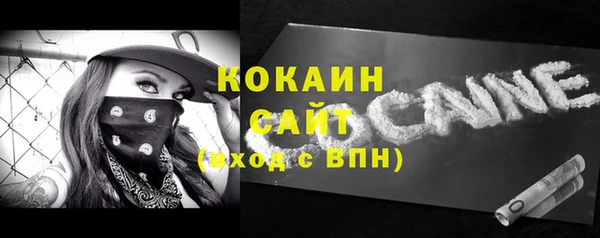 тгк Абаза