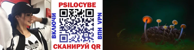 Псилоцибиновые грибы Psilocybe  Карабулак 