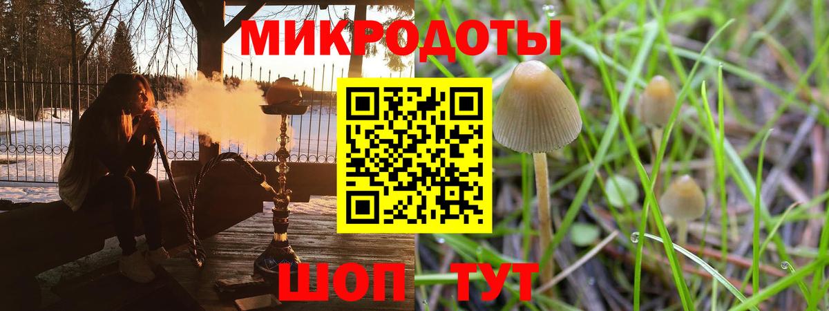Галлюциногенные грибы Cubensis  Вход с VPN  Карабулак 